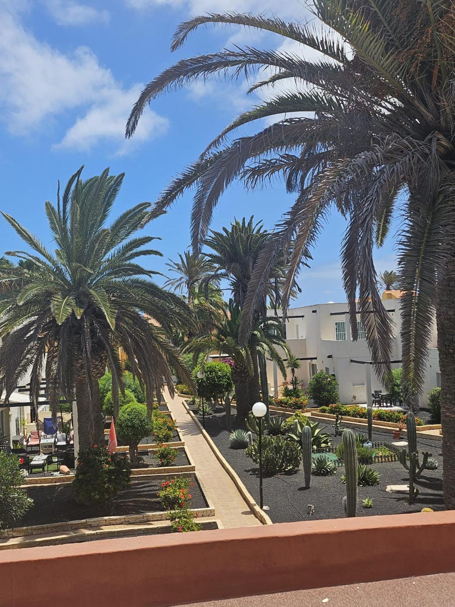 New Alisios Playa Daire Corralejo Dış mekan fotoğraf