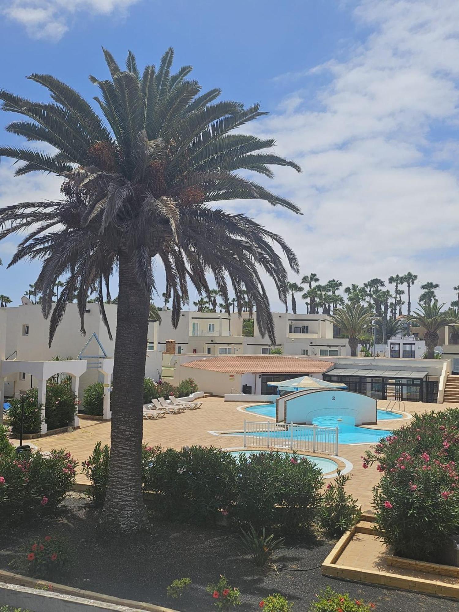 New Alisios Playa Daire Corralejo Dış mekan fotoğraf
